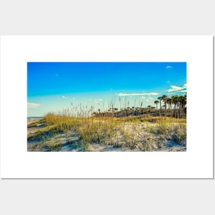 Amelia Island Dunes Posters and Art